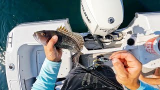 Wreck Fishing with Blade Baits