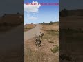 The Power of the U.S. Military! #militarysimulation #military