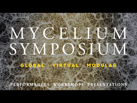 Video: Mycelium Ni Nini