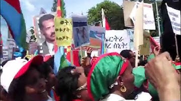 Eritreans from Amsterdam and its vicinity at Geneva 2015 Demonstration