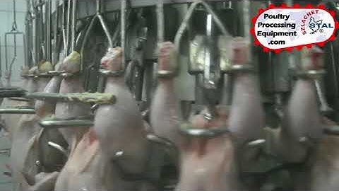 Automatic vent opener