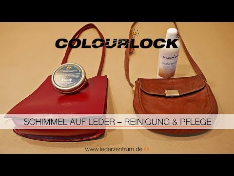 SCHIMMEL AUF LEDER | COLOURLOCK