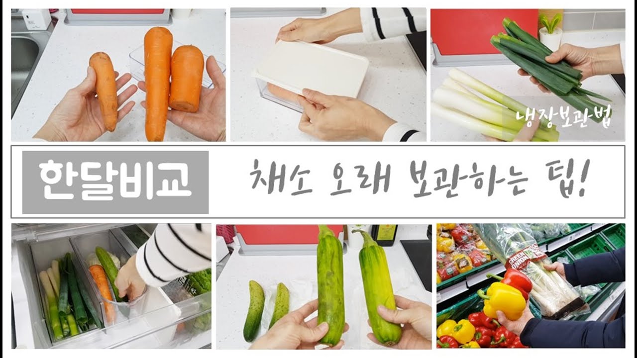 ENG) 식재료보관/채소 오래 보관하는 방법/야채 한달비교/냉장보관법/살림팁 - YouTube Eng) 식재료보관/채소 오래 보관하는 방법/야채 한달비교/냉장보관법/살림팁 - Youtube