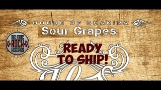 House Of Shakira - On The Edge (Album 'Sour Grapes' OUT NOW)