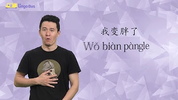 Learn Chinese Phrase "我变胖了" | Learn Chinese in 20 seconds