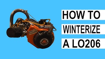 How To Winterize Briggs LO206 Motor | EASY