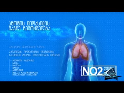 \"შხამი ჰაერში\" რისკ ფაქტორი (გადაცემა)