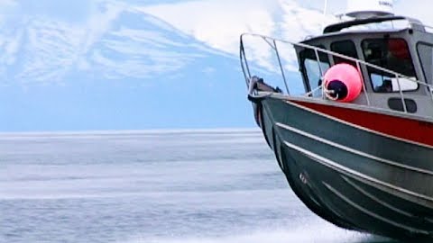 Alaska's Deep Creek Lodge: The Angler's Paradise