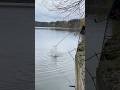 Истринский ЛЕЩ🤩#рыбалка #fishing #фидер #истра #донка #shorts #youtubeshorts #youtube #лещ #улов