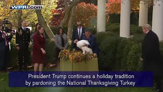 VIDEO NOW: Trump pardons National Thanksgiving Turkey