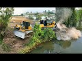 Bulldozer shantui clearing land and fores tree with dumptruck trago dongfeng hyundai 25ton unloading