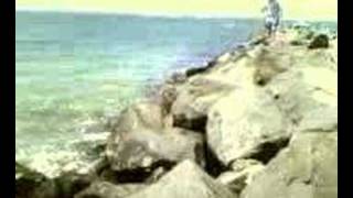 Beach Fishing