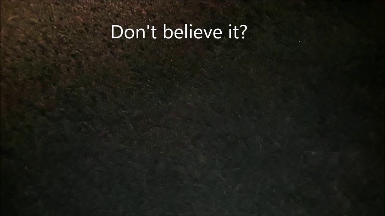 How Many Spiders Are In Your Yard?