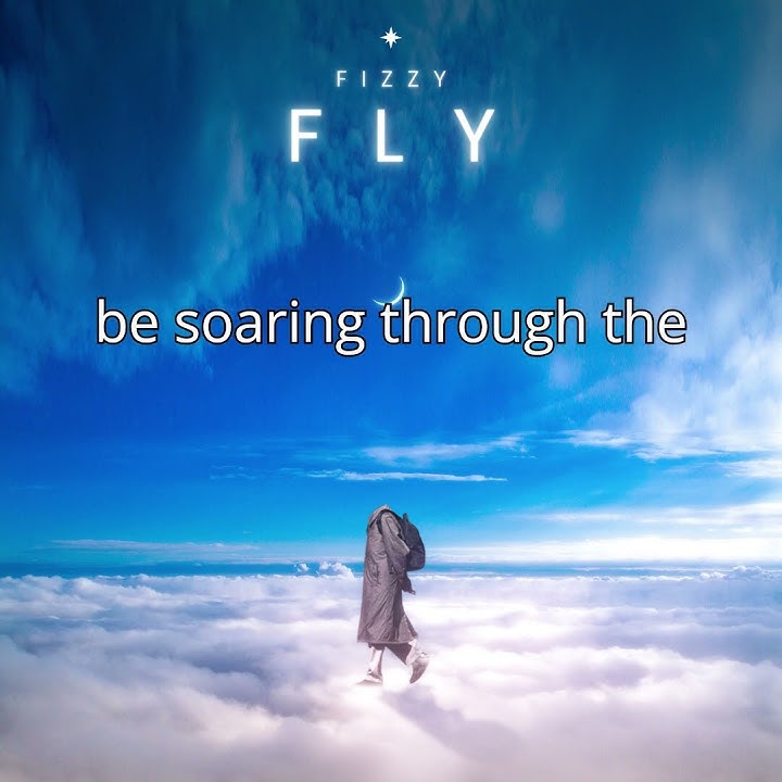 FLY (full song no video)