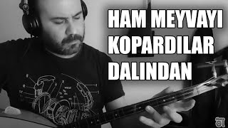 Ham Meyvayı Kopardılar Dalından  ~ (Bağlama Enstrümantal) Resimi