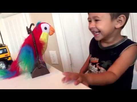 Talking Parrot Toy! Talking Parrot Toy!