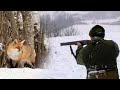 Hunting Serbia - Fox hunting in winter | Lov na lisice - Kraljevo - Zimska hajka