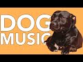 A DAY of Relaxing Music for Dogs! EXTRA-LONG 24 Hour Calming Dog Songs!