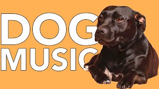 A DAY of Relaxing Music for Dogs! EXTRA-LONG 24 Hour Calming Dog Songs! screenshot 3