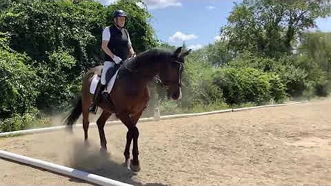 Sharon Curran  - No Limit (Noah) - Intro A   7/24/...