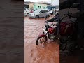 Watch:Kampala floods again,millions of properties lost