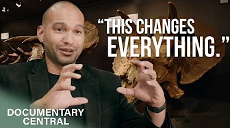 This Triceratops Skull Reveals the last Prehistoric Battle before Dinosaurs Vanished
