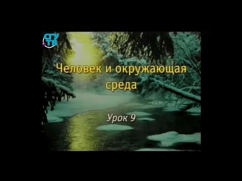 Вопрос: Почему одни птицы гнездятся колониями, а другие парами?