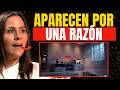 4 INSECTOS que Aparecen cuando Hay Brujería en tu Casa -Adriana Pléyades