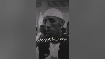 ما أجملها تلاوة تُرقق القلوب | حسام عبد الباقي
