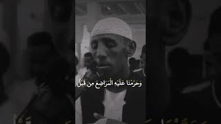 ما أجملها تلاوة تُرقق القلوب | حسام عبد الباقي