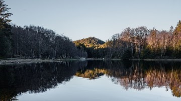 Peaceful Guitar Music for Unwinding, Reflecting, and Finding Tranquility in the Midst of Chaos