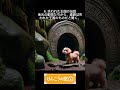 VO5(ぽっちゃりメイちゃん物語)「けんこうの窓口」#system #アニメ