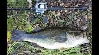 Sight fishing for Spring Bass at Mather Lake