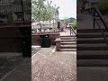 Raining flower petals CO 2026