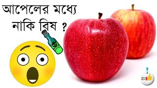 আপেল খাওয়ার আগে একটু সাবধান থাকুন | আপেলের কোন অংশে বিষ থাকে | আপেল খাওয়ার আগে একটু সতর্ক থাকুন