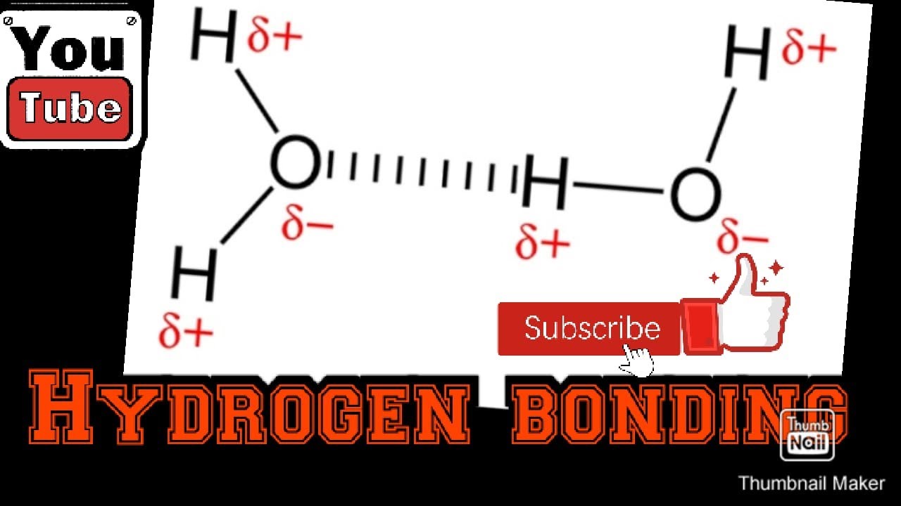 Hydrogen Bonding In Nh3 And H2o Hydrogen Bonding In Nh3 And H2o