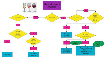 Concept Maps: Approach to "A Patient with Haematuria"