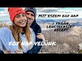 Elveszni az erdőben?! | NAPI VLOG