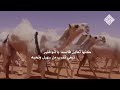 شيله عمير القحطاني 2019 1440