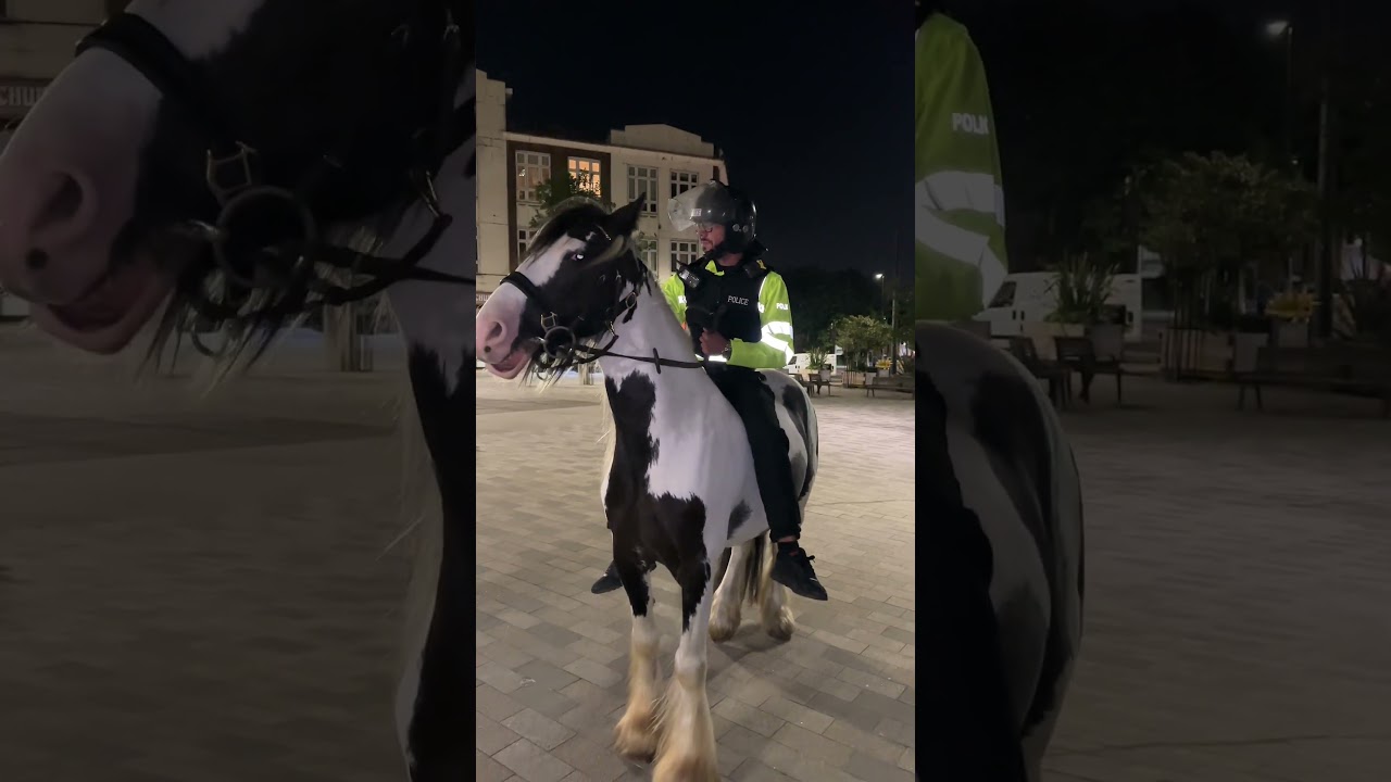 Man Confronts Police On Horse 😳