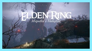 Elden Ring - Miquella's Haligtree ambience and music OST (to sleep or relax to)