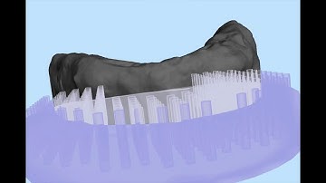 Meshmixer modelo Segmentado