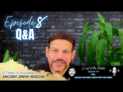 Dust Of The Rabbi Podcast Episode 8 Q A Should The Wheat Grow With The Tares