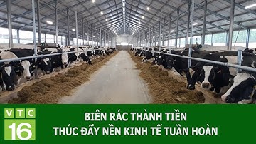 Biến rác thành tiền, thúc đẩy nền kinh tế tuần hoàn | VTC16