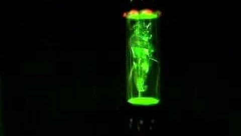 iClone 3DXchange Demo Video