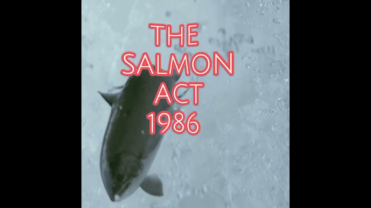 strange-uk-laws-salmon-british-youtubeshorts-shorts-short