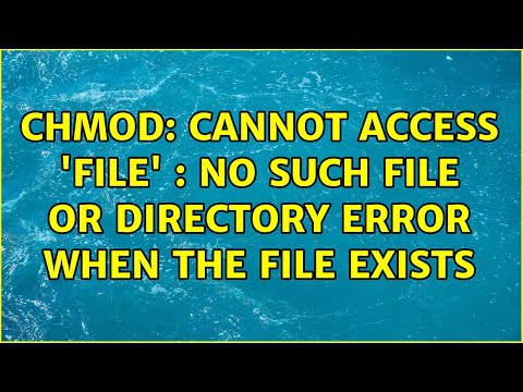 Unix & Linux: chmod: cannot access 'file' : No such file or directory error when the file exists
