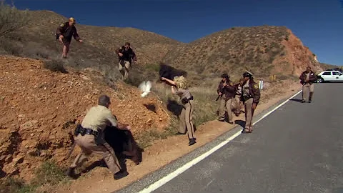 Reno 911 Miami 2007 720p WEB DL DD5 1 H 264