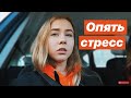 VLOG: ВЕЧЕР ПЕРЕД ЭКЗАМЕНОМ. НЕРВНИЧАЕТ ЛИ МАША?