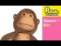 [Season 1] E44 Loopy Has a New Friend | Kids Animation | Pororo the Little Penguin